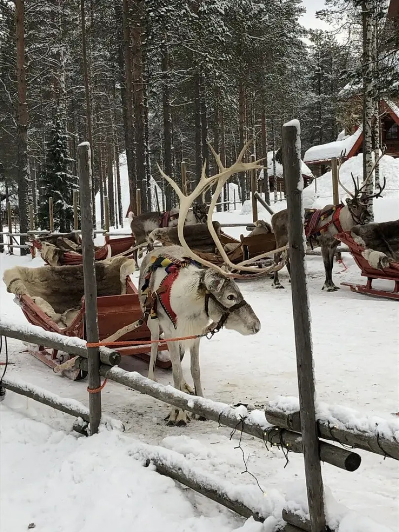 Sangis Motell och Camping AB