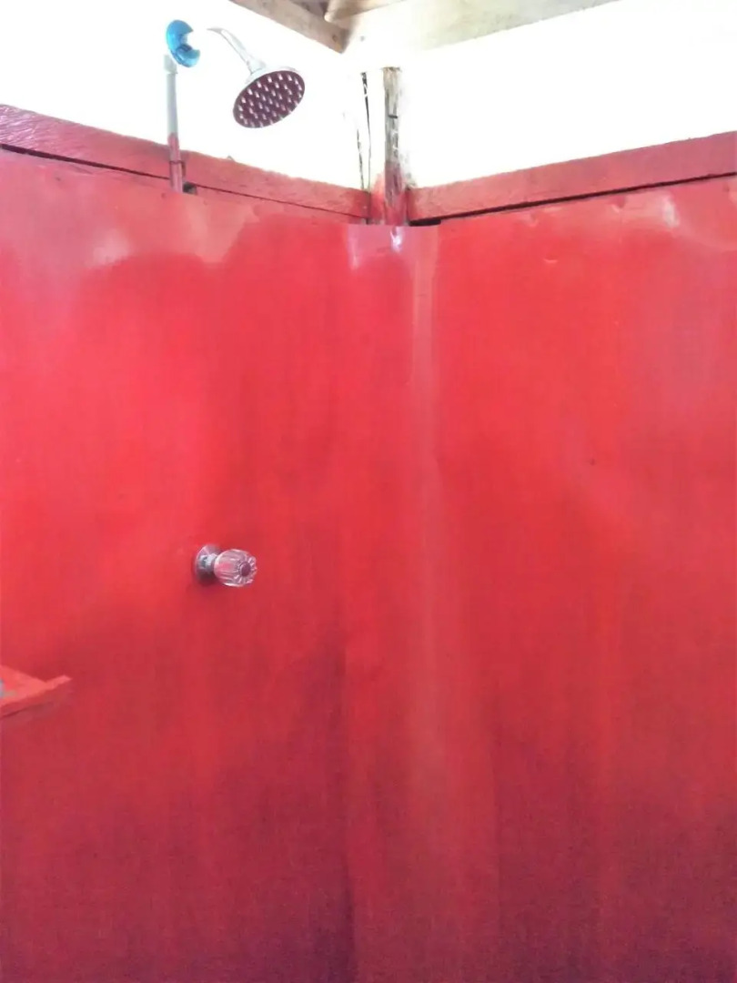 Lodge Jungle Wolf Expeditions