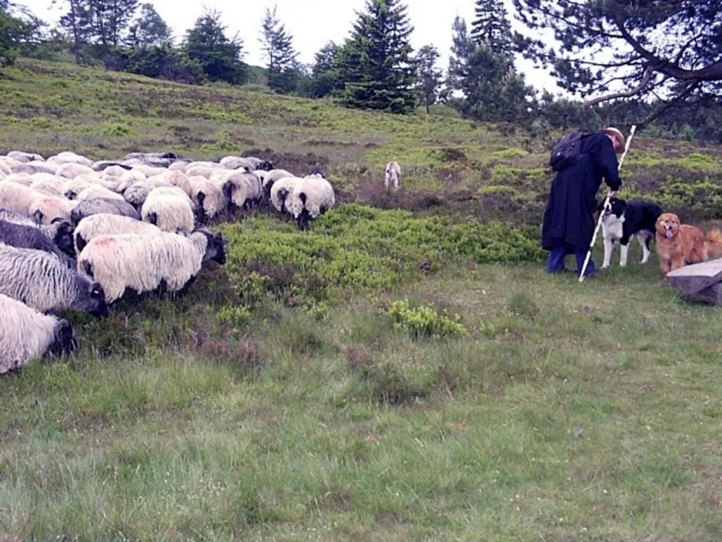 Enjoy-Heide Hildfeld