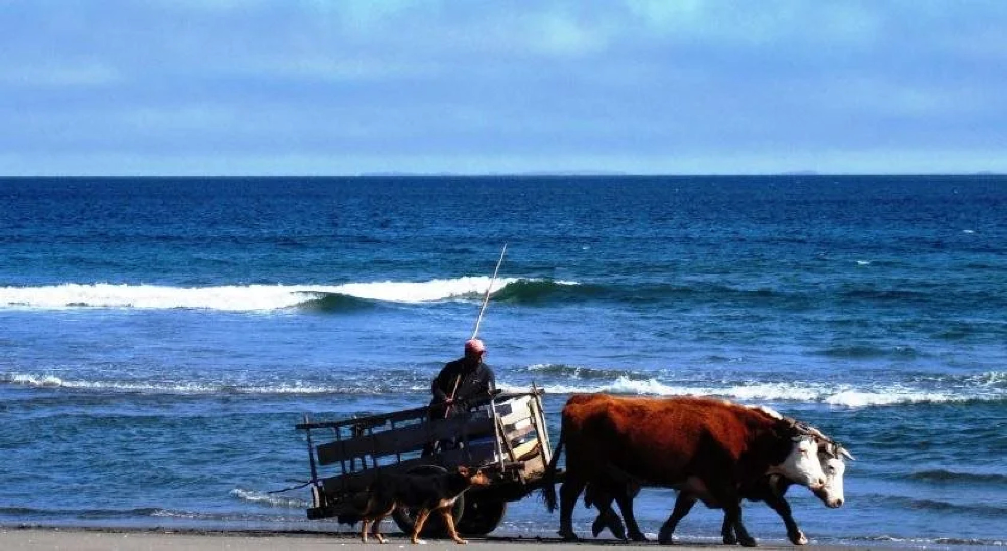 Punta Piedras Lodge & Marina