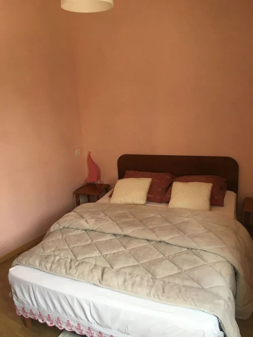 Le Palmyre Soleil de l'Amazonie