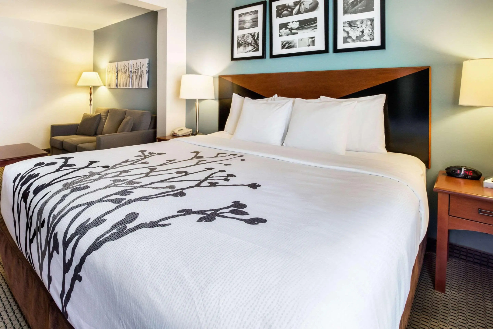Sleep Inn And Suites Rapid City