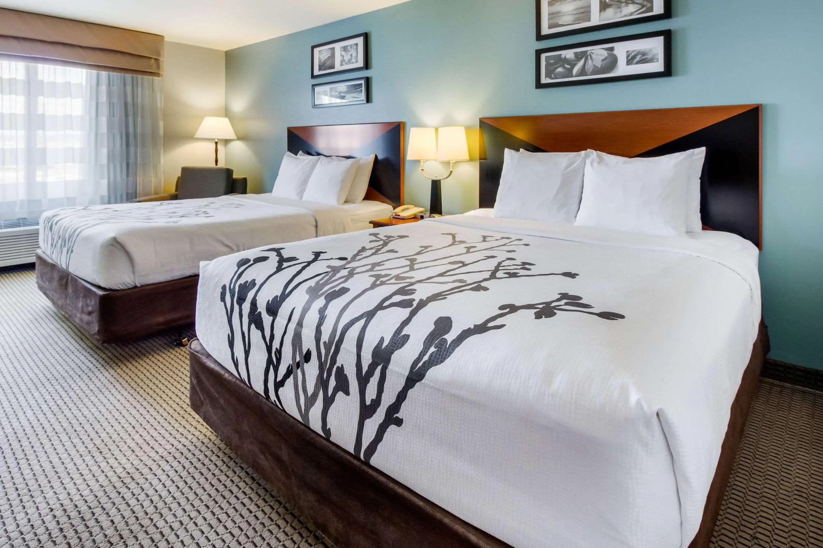 Sleep Inn And Suites Rapid City