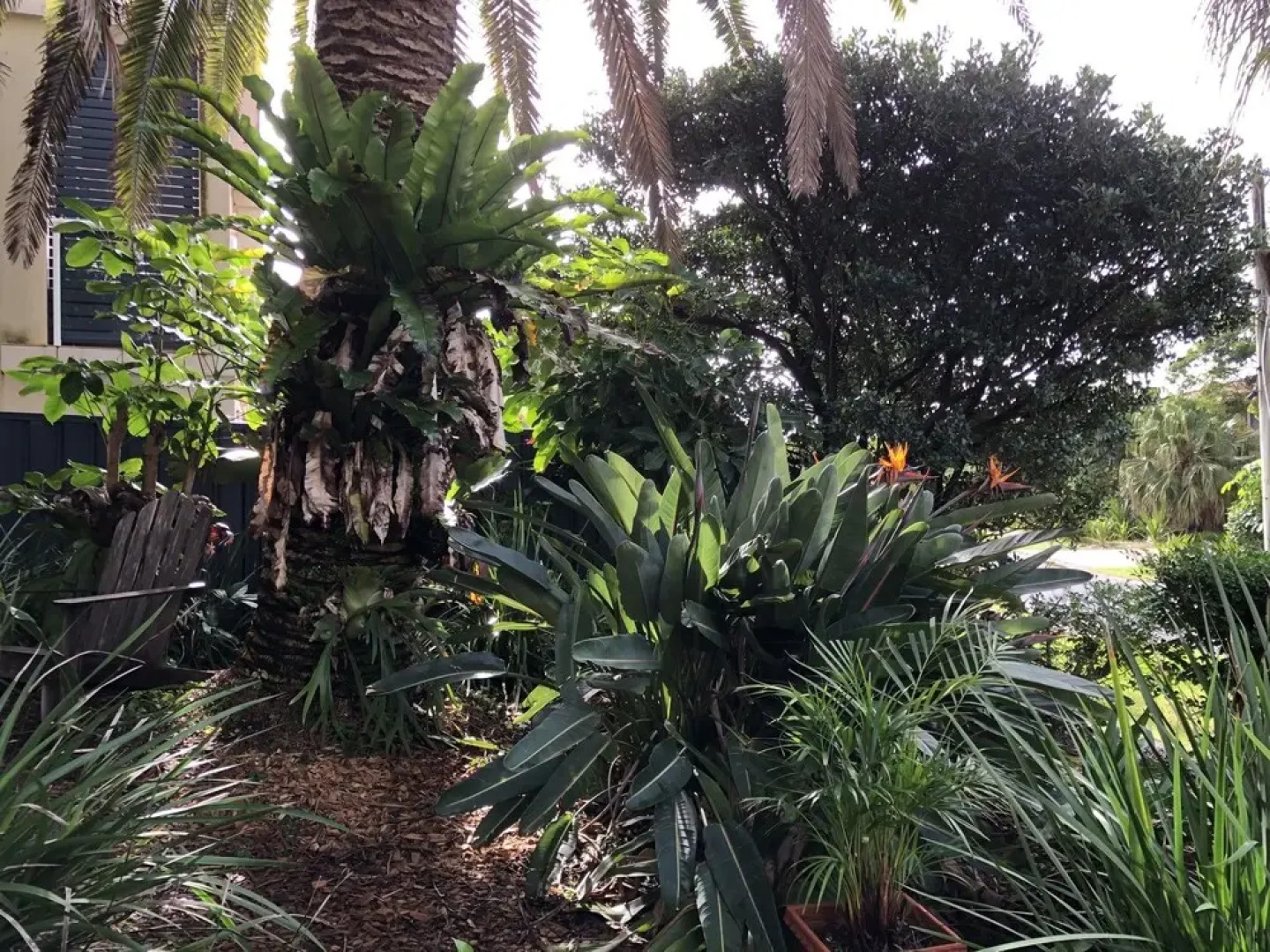 Shorebreak Beach House