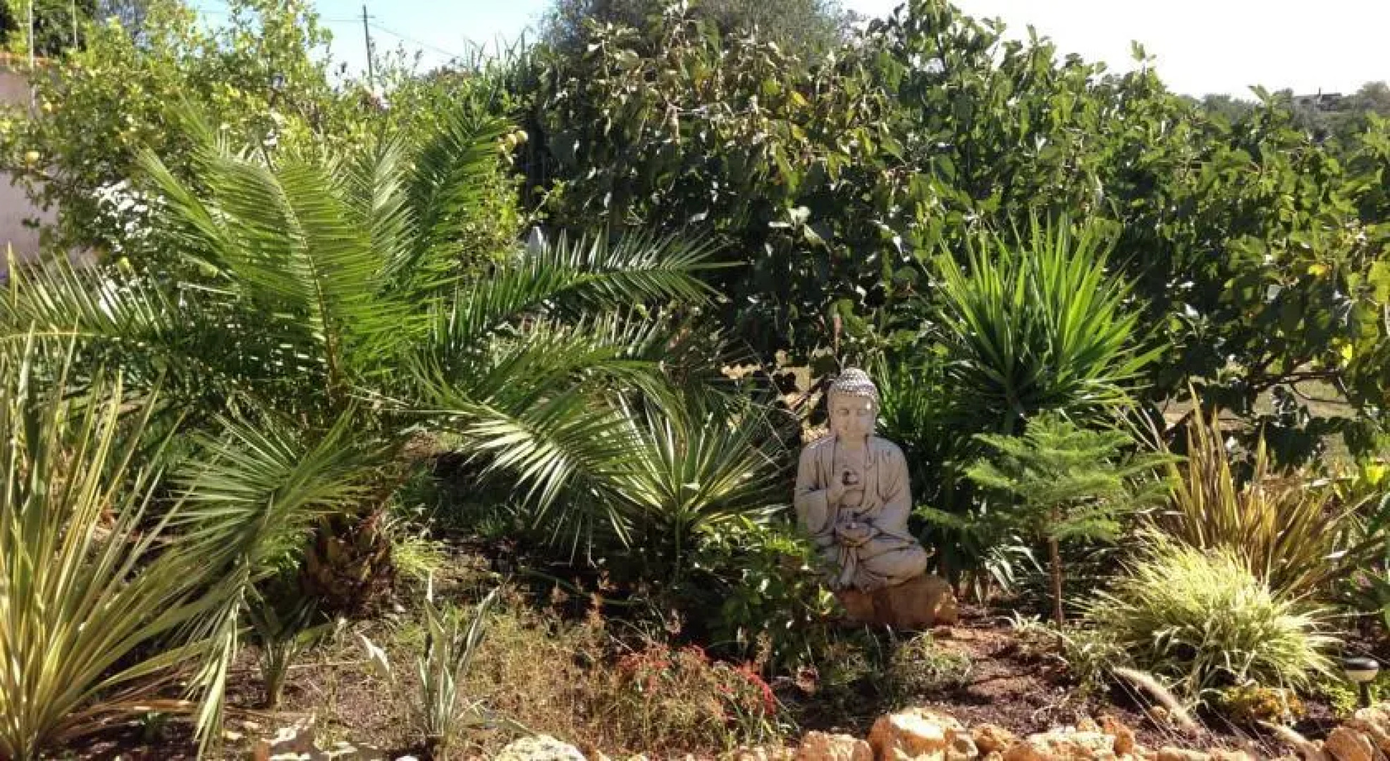 Quinta dos Pinheiros