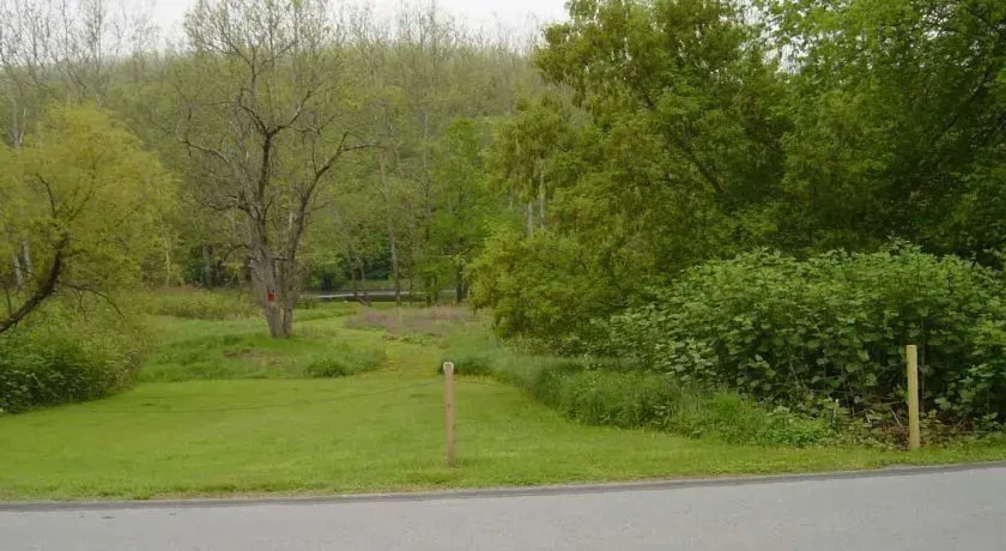 River Road Callicoon Rental House