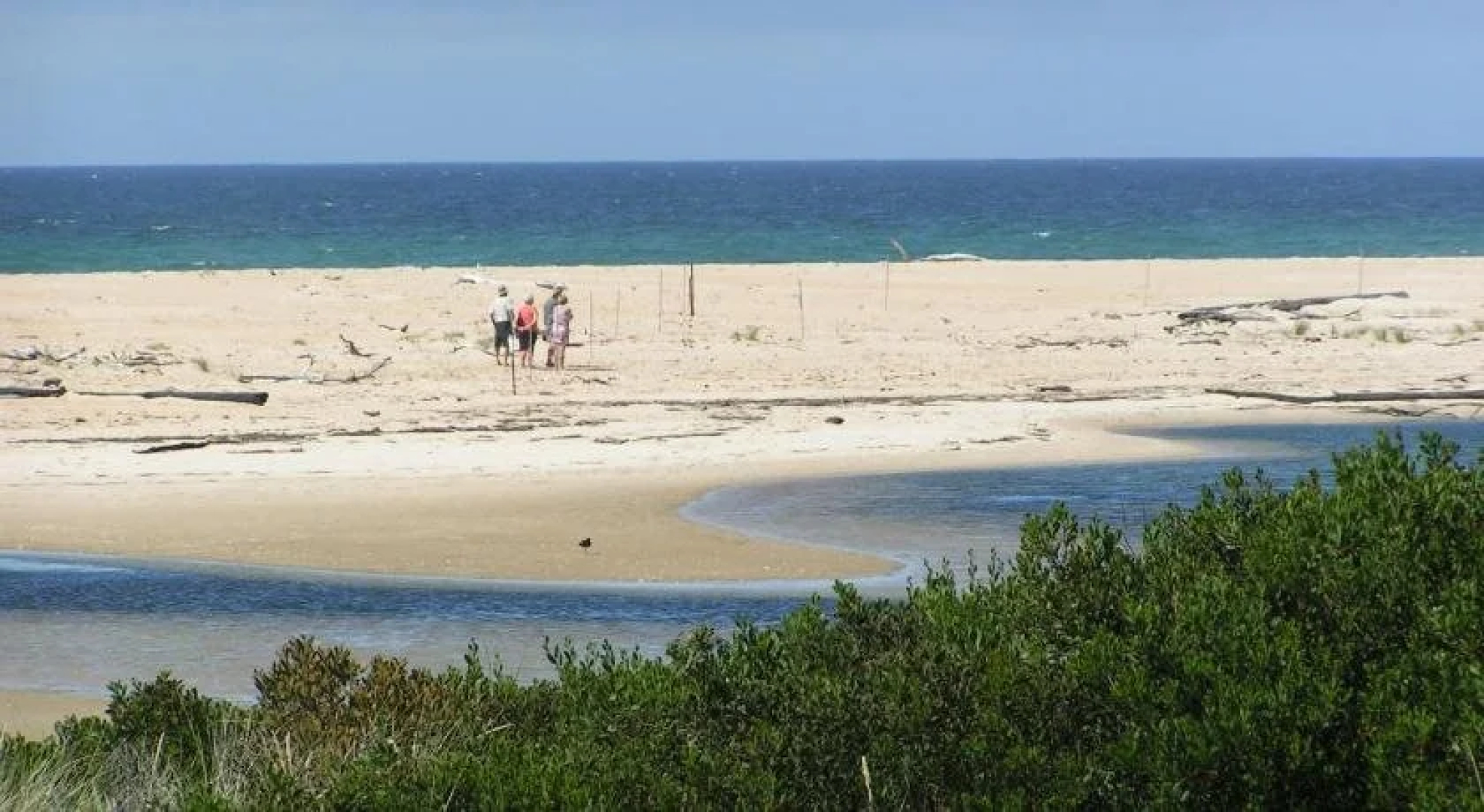 Scamander Tourist Park