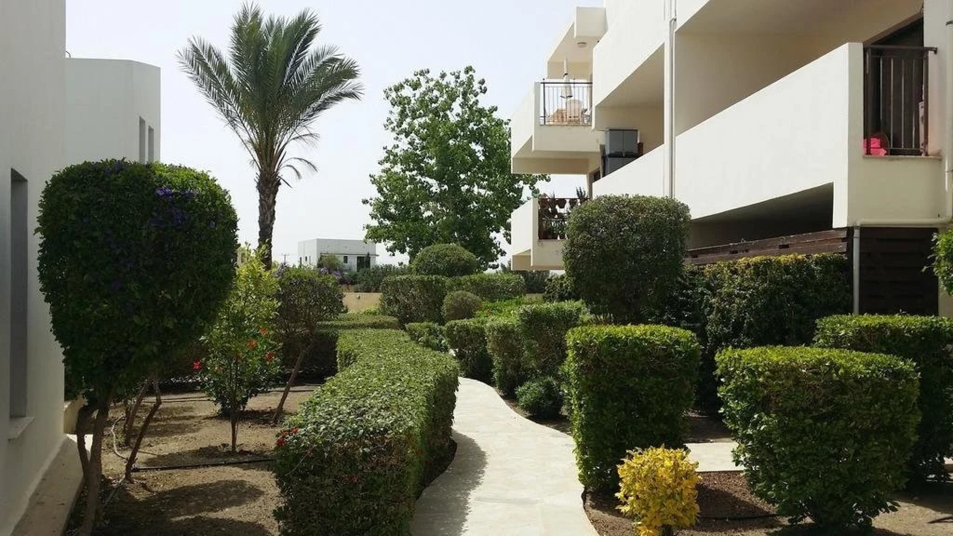 Mazotos Hilltop Apartment-FREE Welcome Package