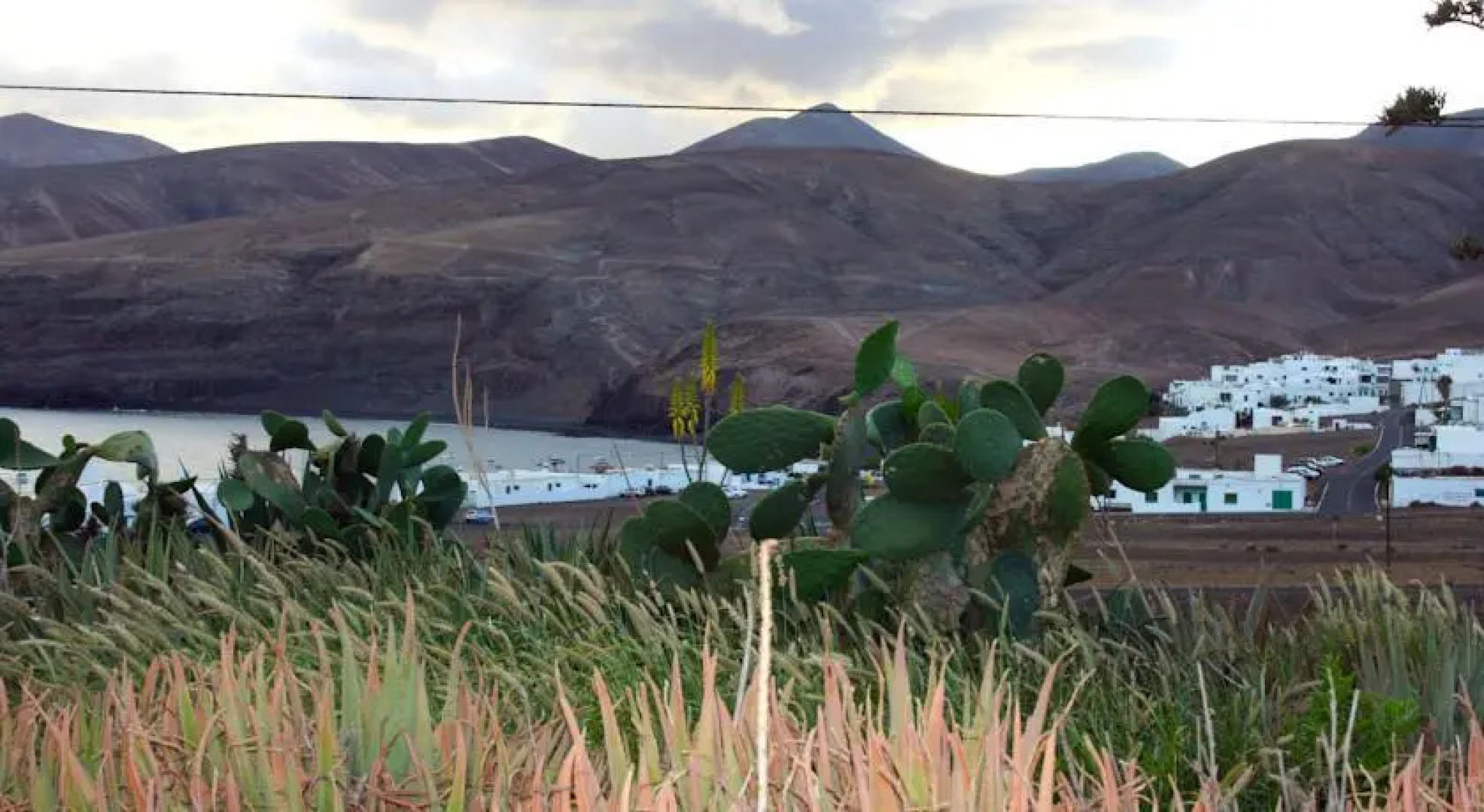 Lanzarote Nature