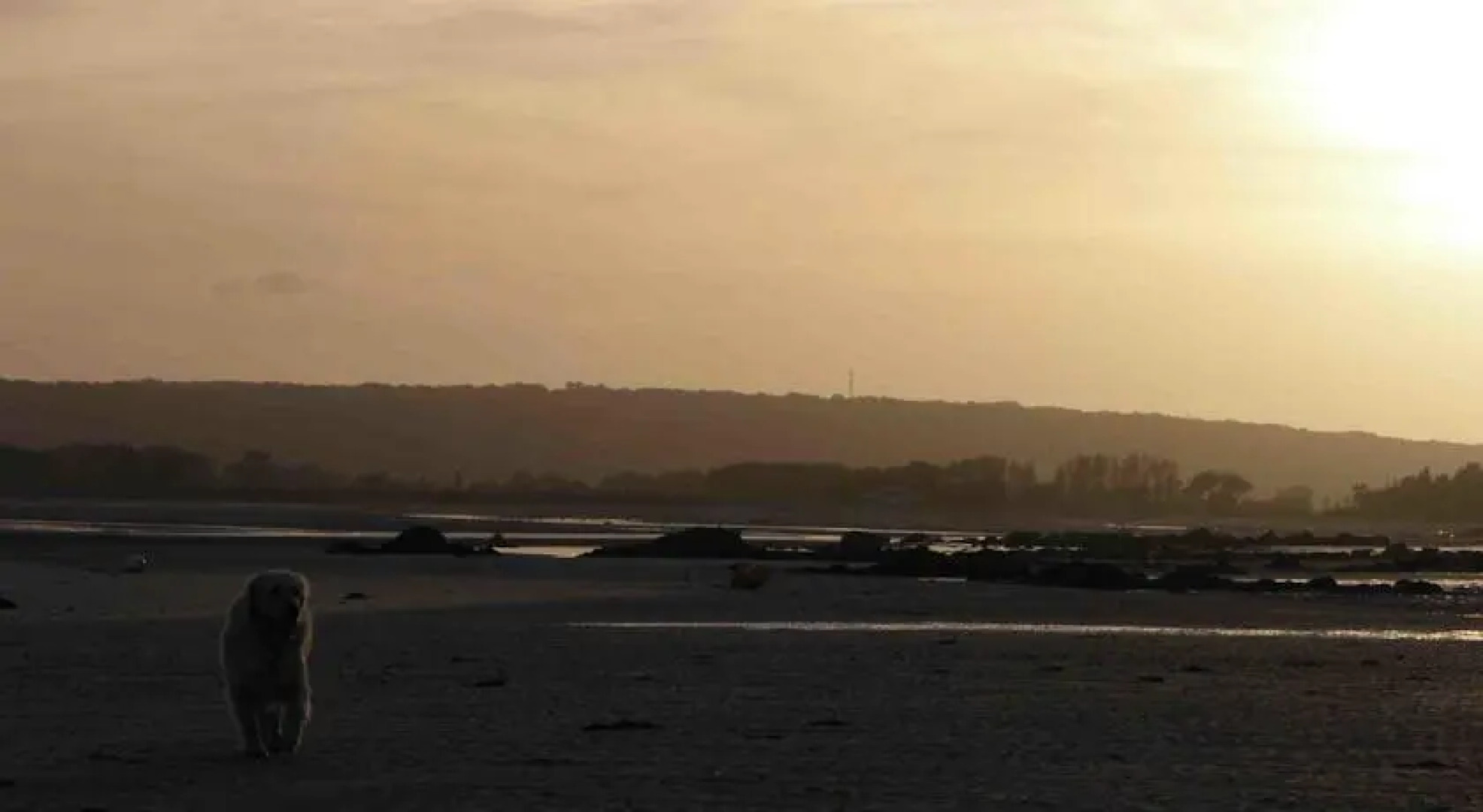 La Romantique Duckerie avec SPA