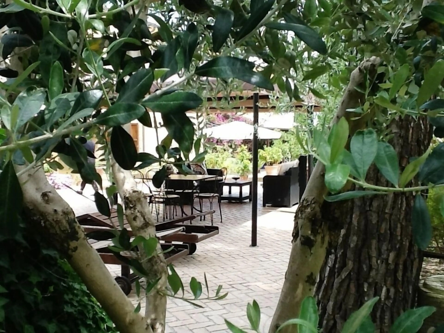 B&B Il Giardino Dei Limoni