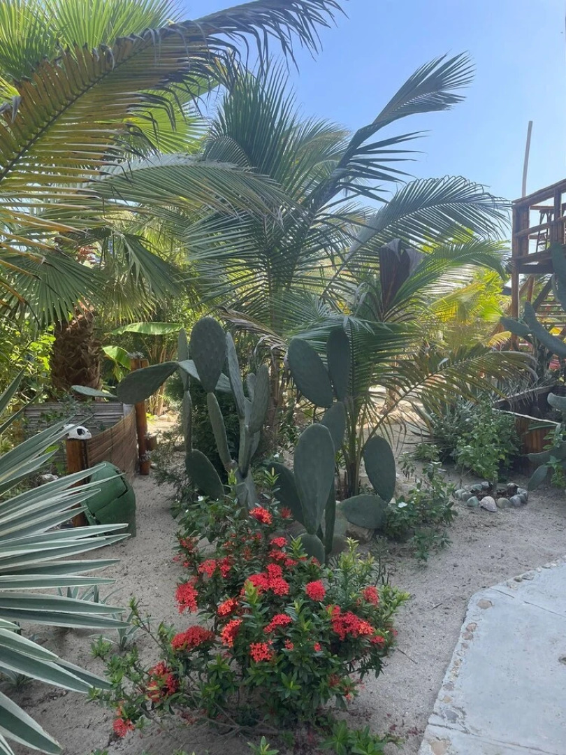 Un Dia Boutique Resort