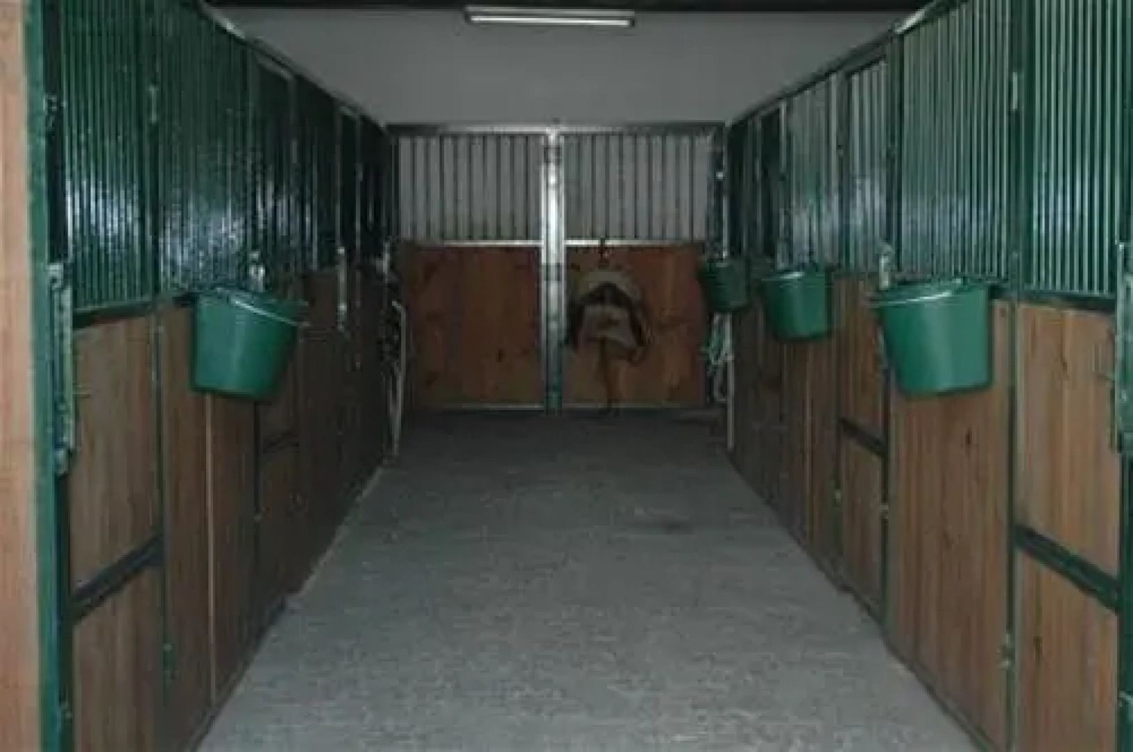 Pátio da Avó Faustina - Agroturismo