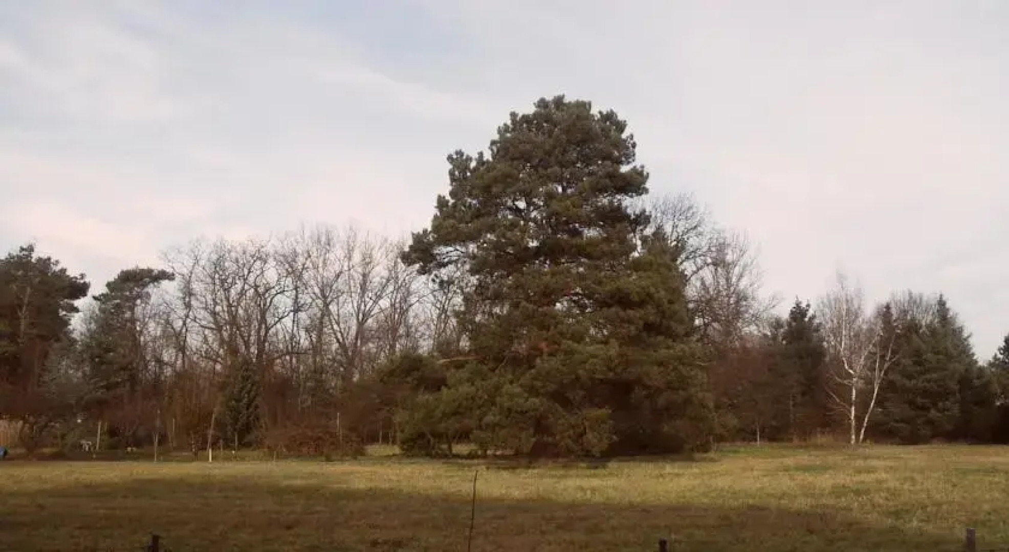 Pension Am Bogendreieck