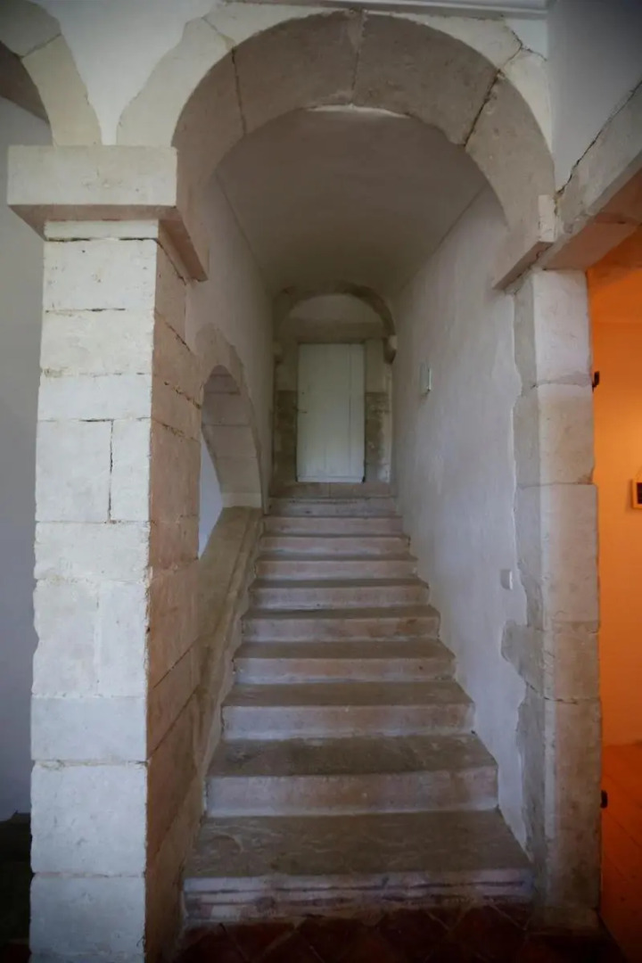 Chateau Saint Martin