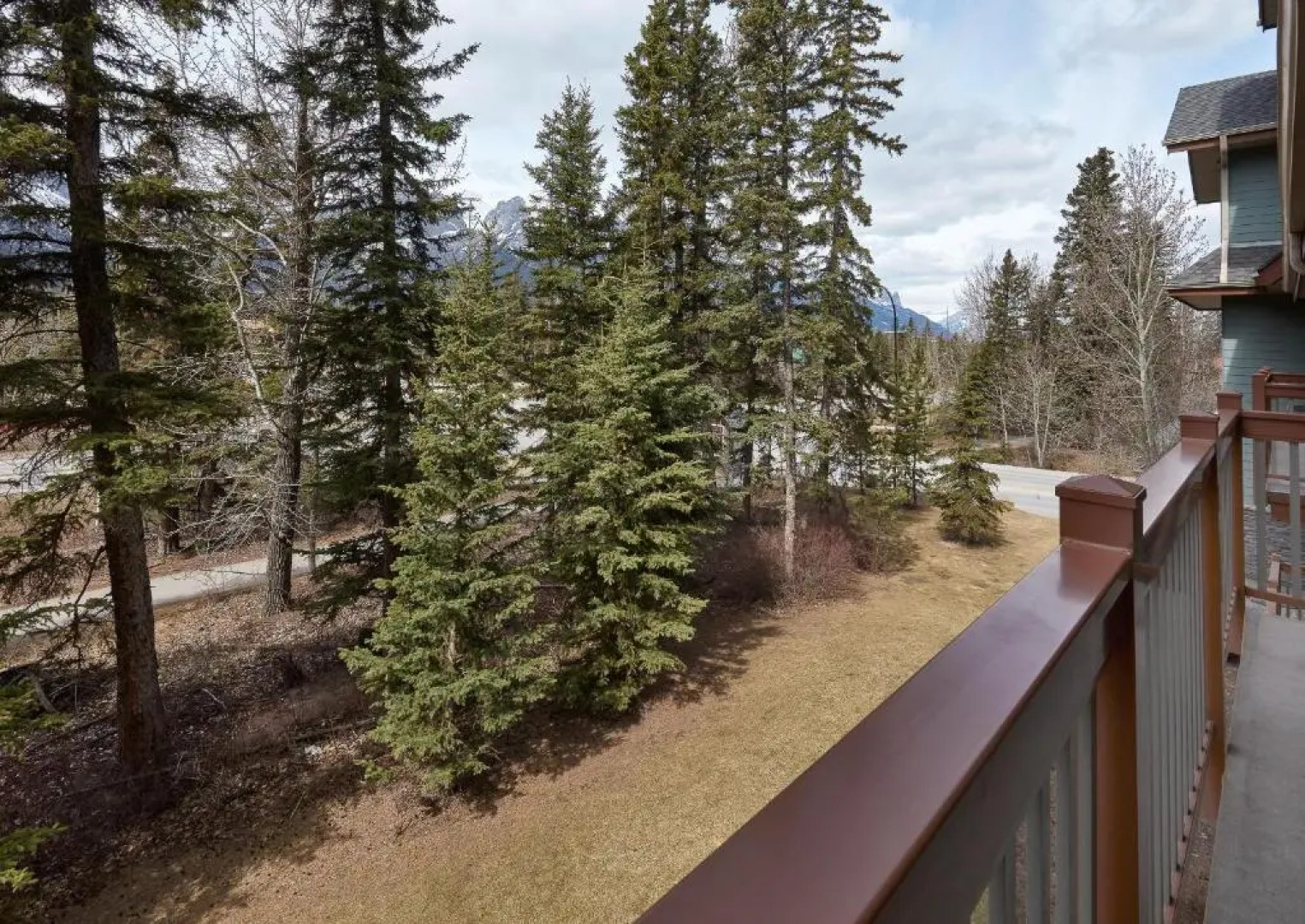 Newly Renovated Grizzly Lodge, Spacious 3BR 2BA with open pool, hot tub