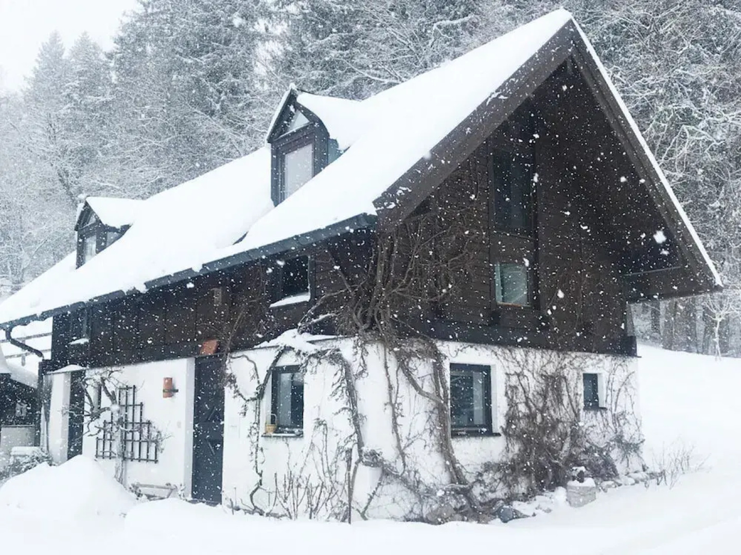 Bergwiesen - Studio House