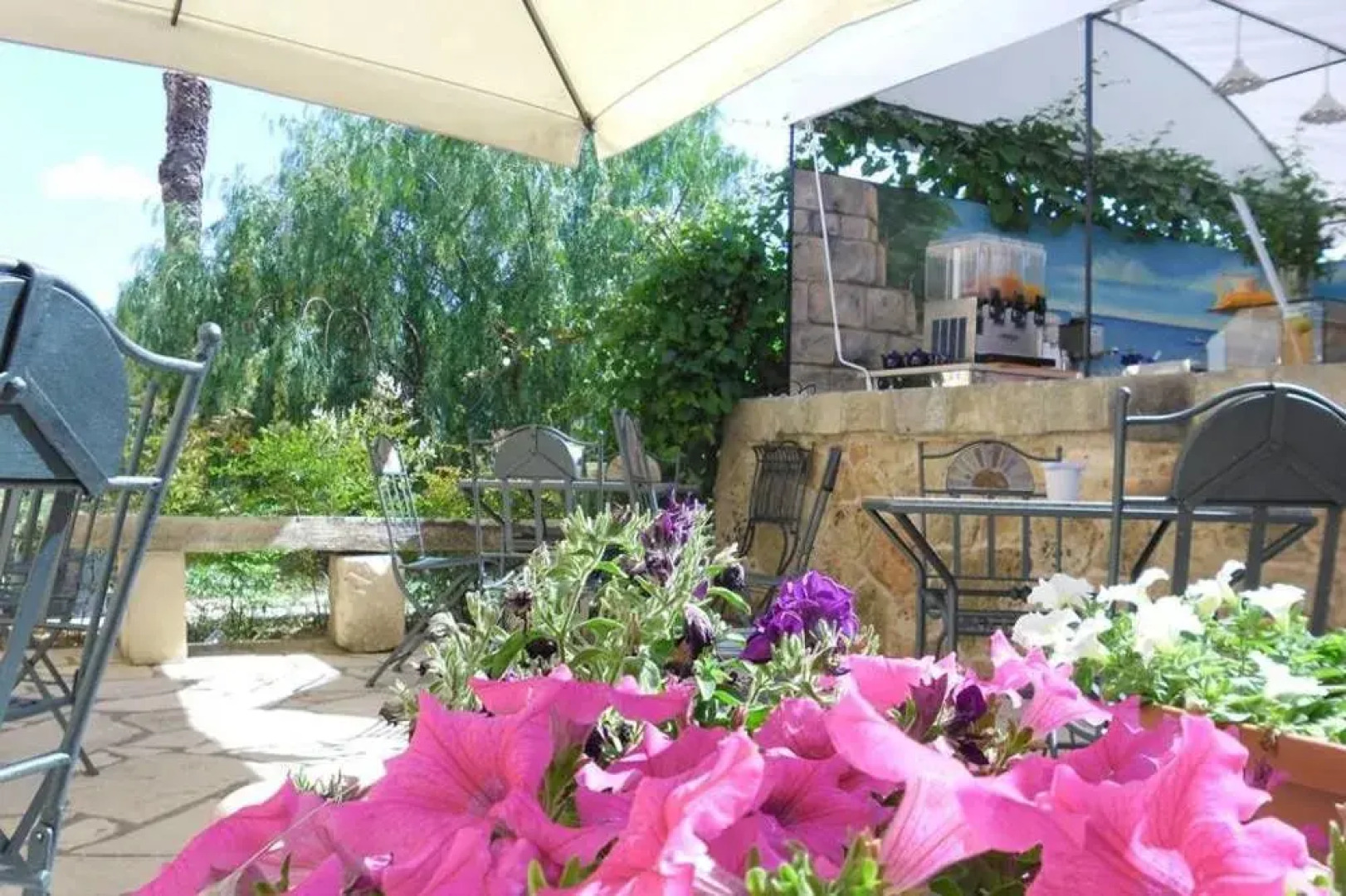 Tenuta Masseria Del Gallo