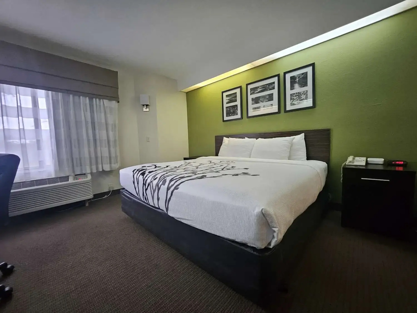 SureStay by Best Western Summerville Flowertown