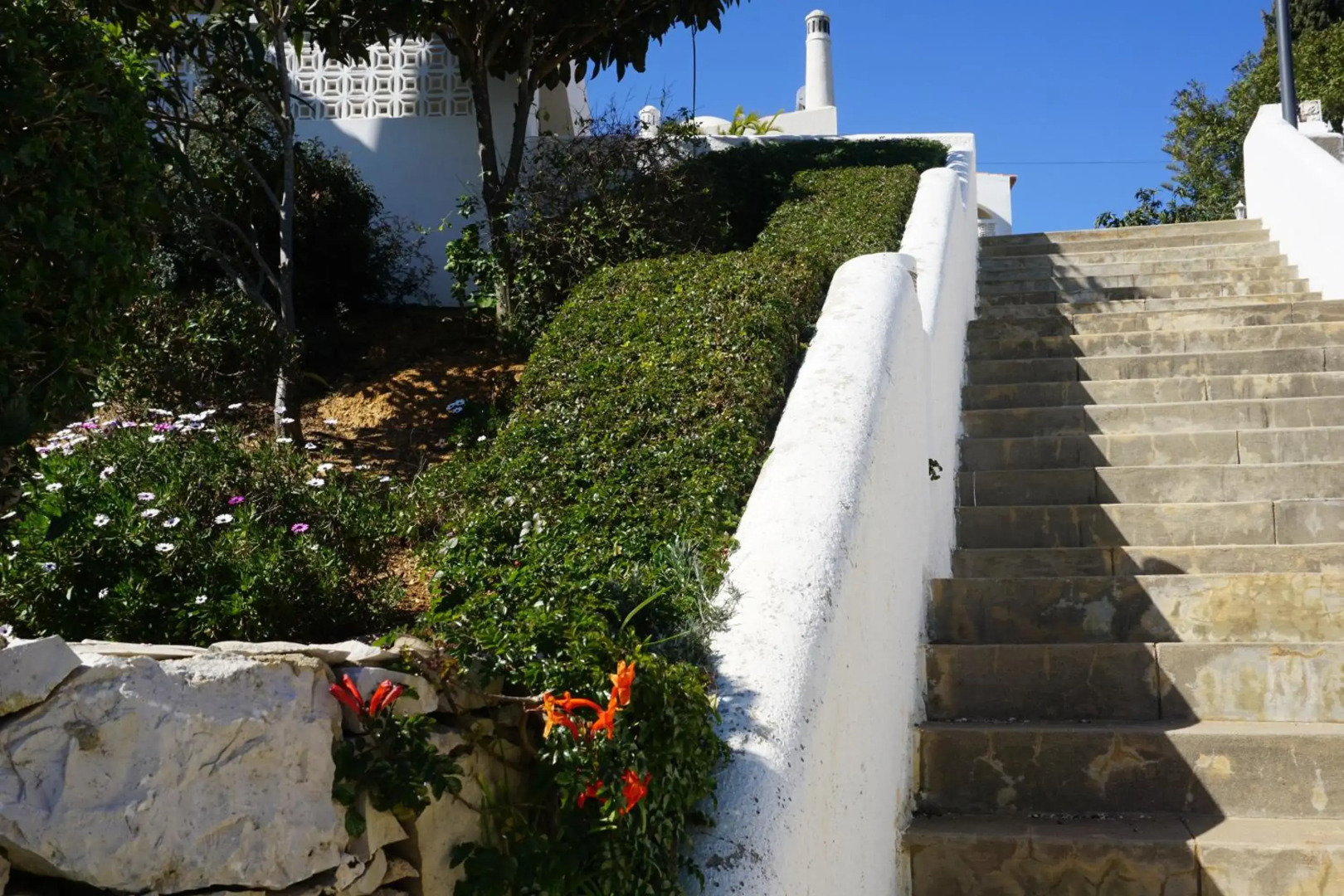 Townhouse - Casa Papaya