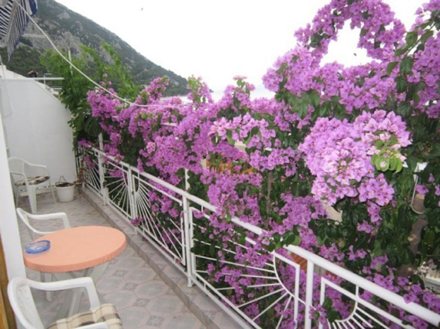 Apartment Graci - 20 m from pebble beach: A1 Gradac, Riviera Makarska
