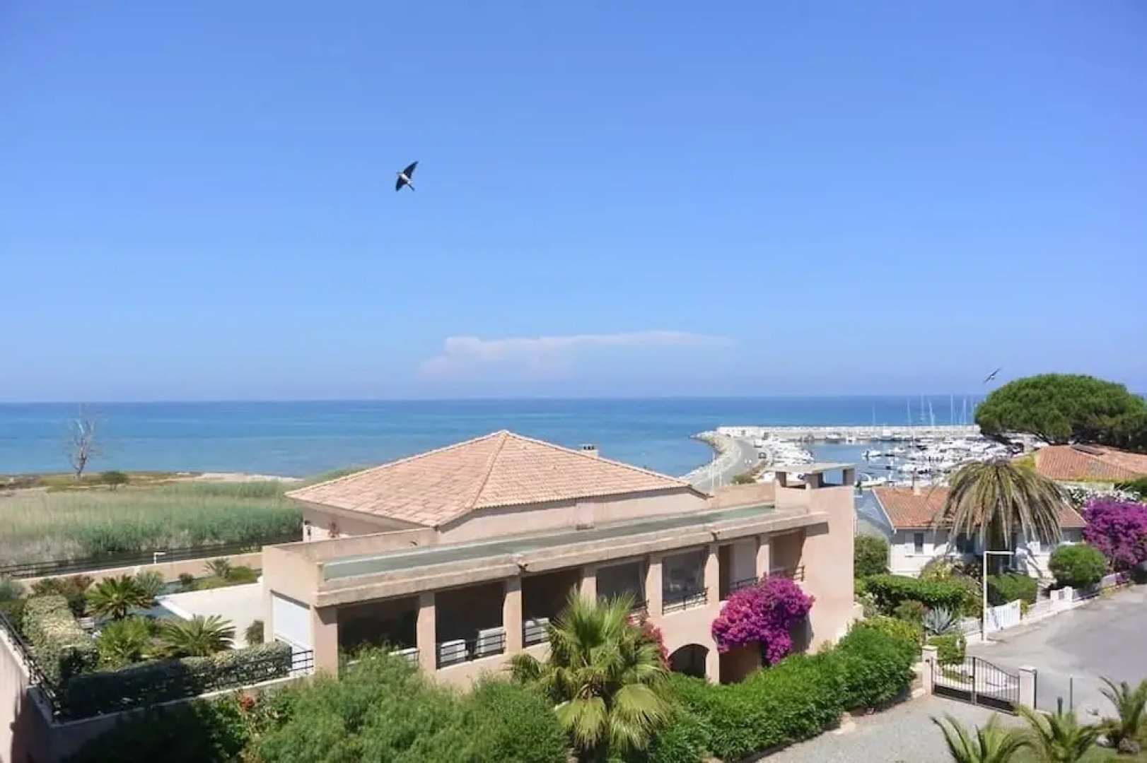 LA PALMERAIE 325 - POOL IN RESIDENCE Apartment 2