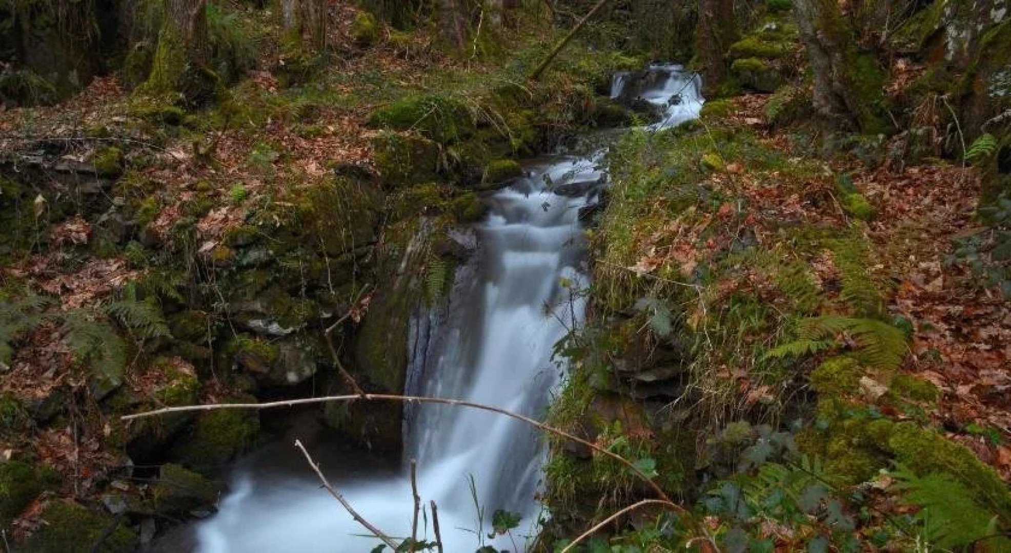 Hotel Rural El Torneiro