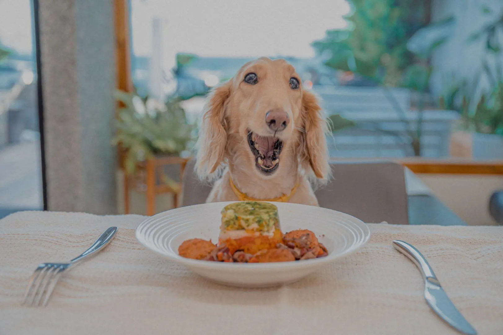 Sasa Nor Lamour B & B