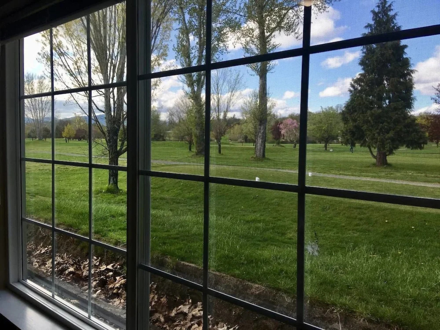 Racing Horse Ranch and Guest House with Golf