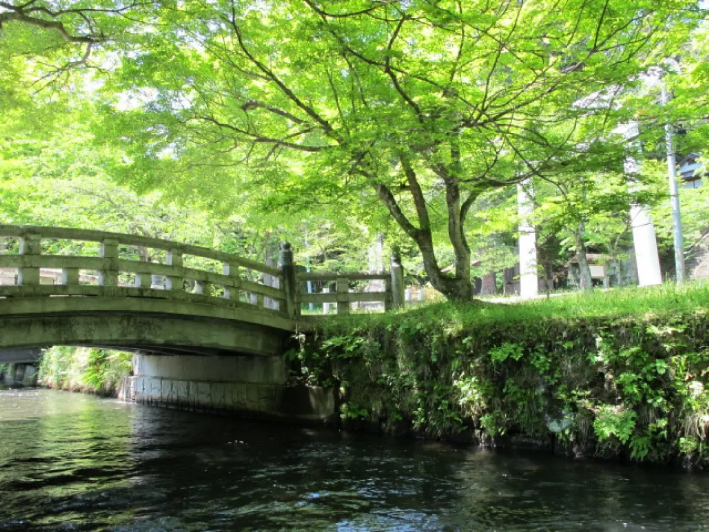 Tsubaki - the best guesthouse in Inawashiro