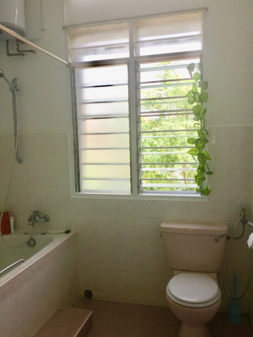 Sea Lion by the Beach