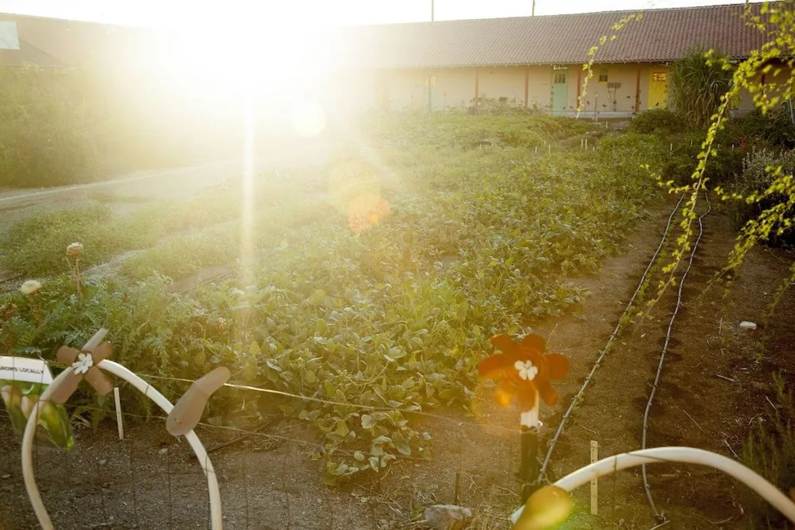 Sonoran Desert Inn & Conference Center