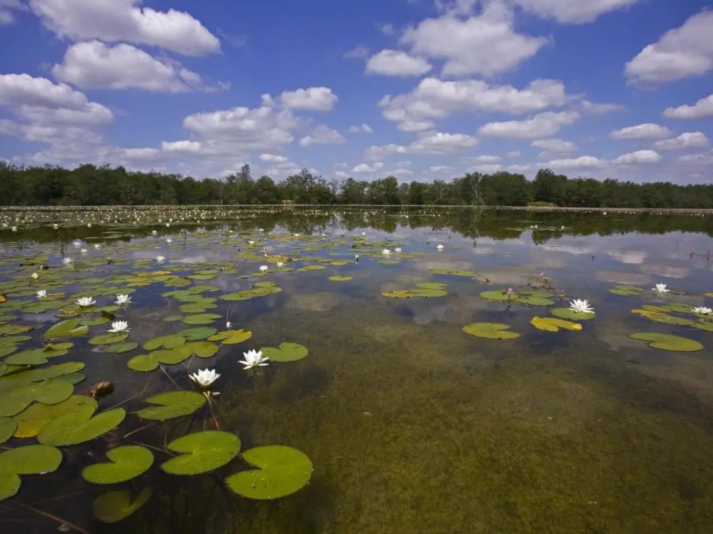 Maison Mézières-en-Brenne, 2 pièces, 2 personnes - FR-1-591-229