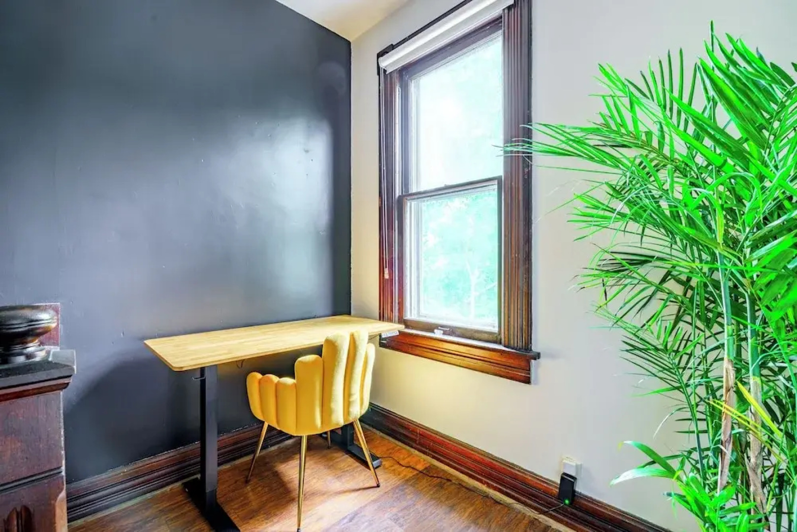 Jungle House Luxury Stays - Downtown Chillicothe