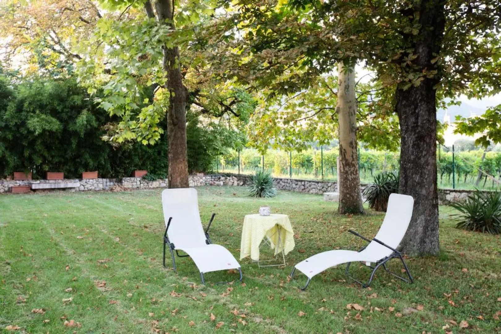 Villa Guarienti Valpolicella