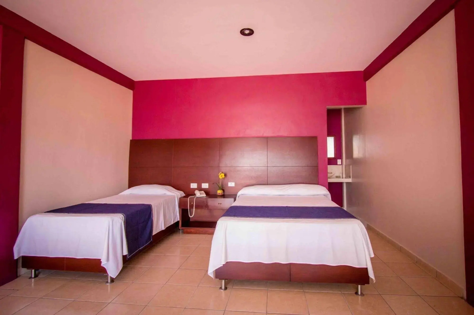 Hotel Terraza San Pedrito