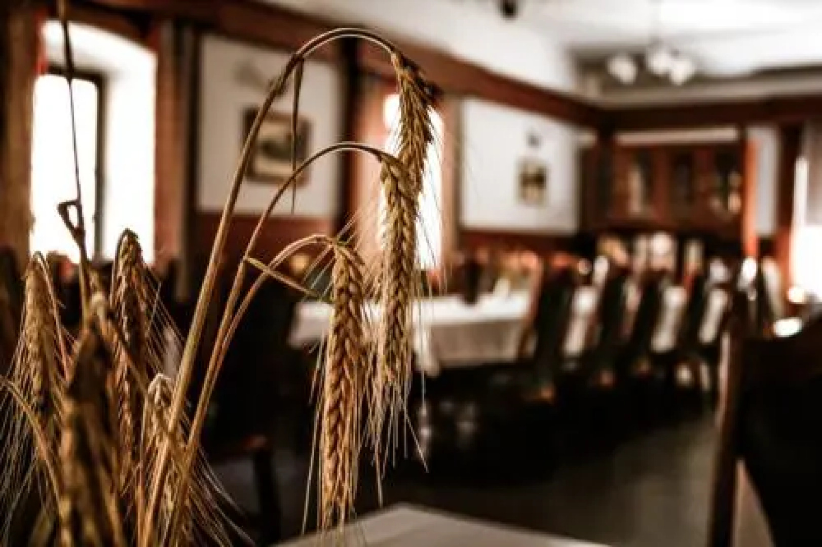 Framski Hram Guest House