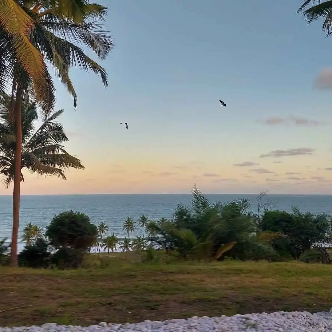 Coco Pontall Bangalôs