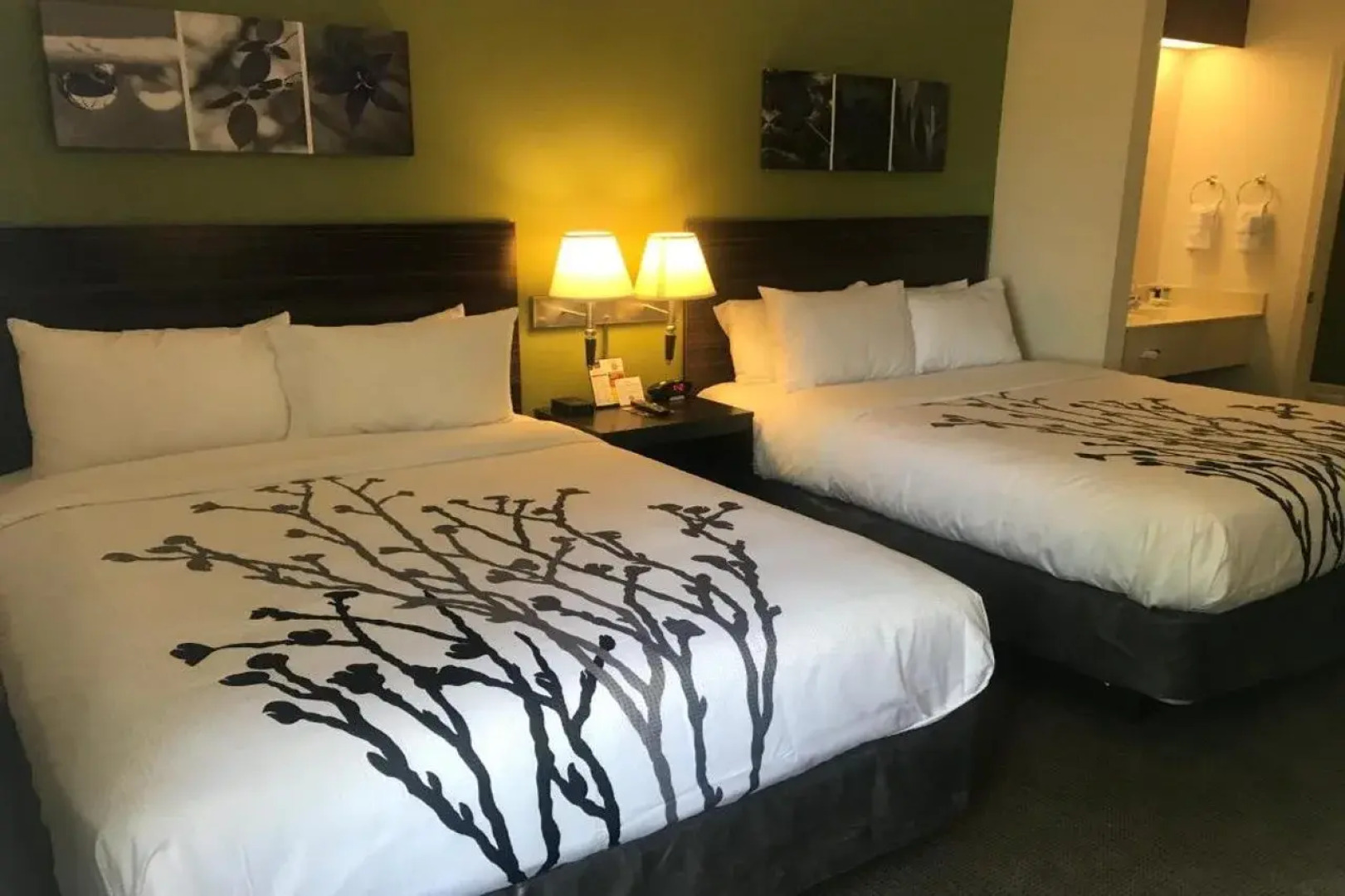 Sleep Inn Raleigh Durham Airport