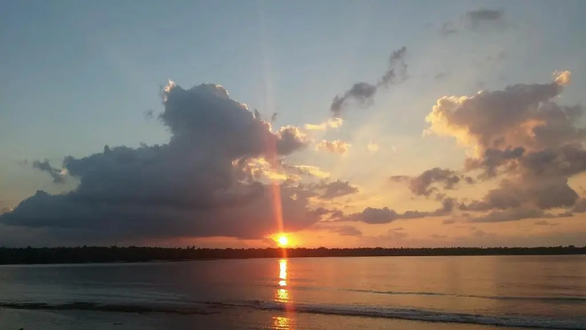 Bluepango Guest House - Hostel