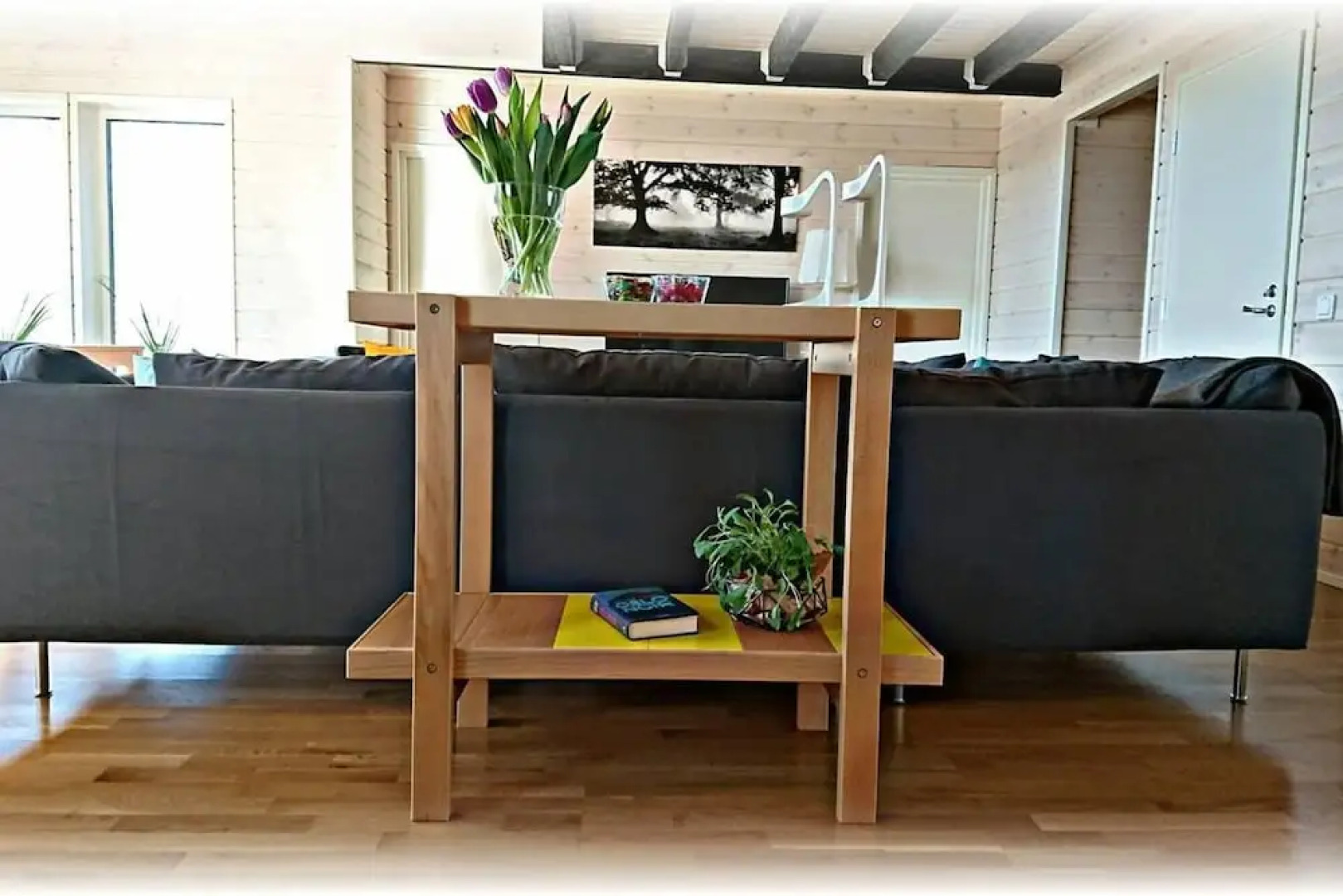 Large 8-9-bed Central Ski Innout House in Hemavan