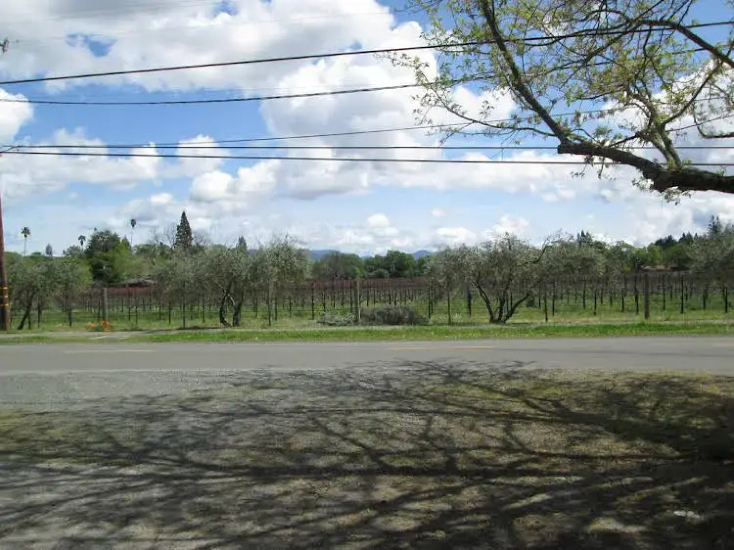 Judys Bed and Breakfast