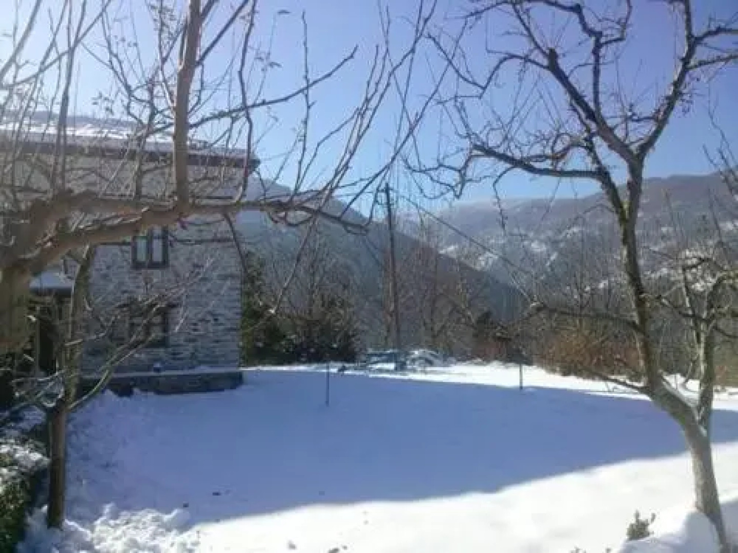 Stone Villa in the Forest