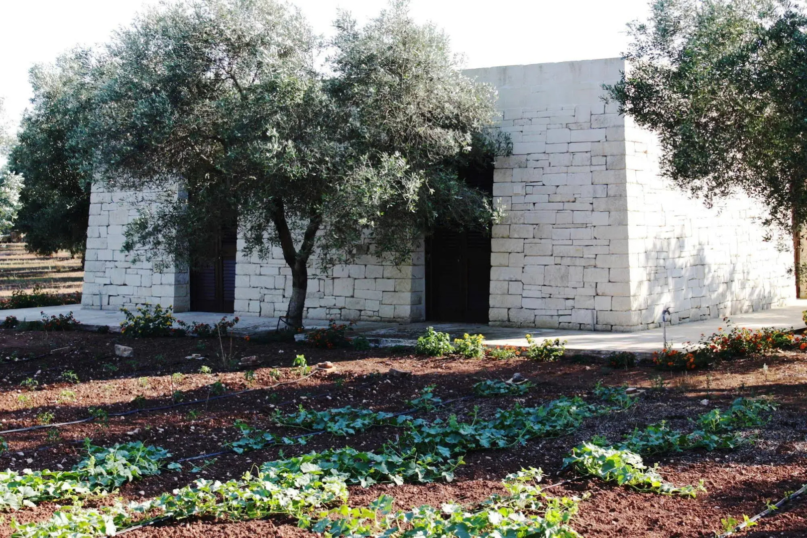 Tenuta Pigliano