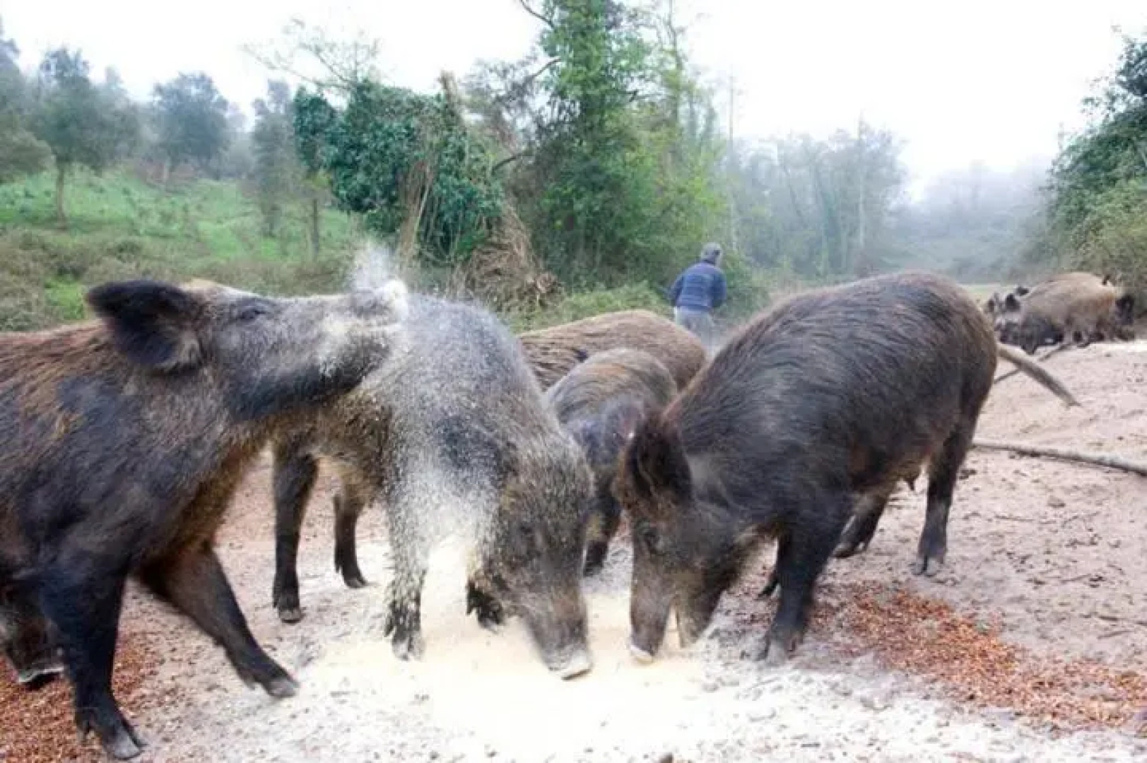 Agriturismo Il Muto di Gallura