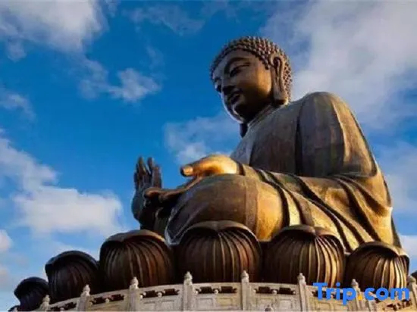 Tongyueju Gold Business Hotel