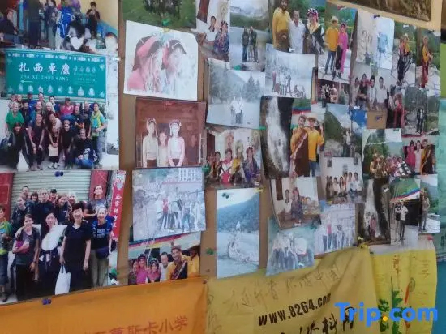 Zhaxi Zhuokang Youth Hostel