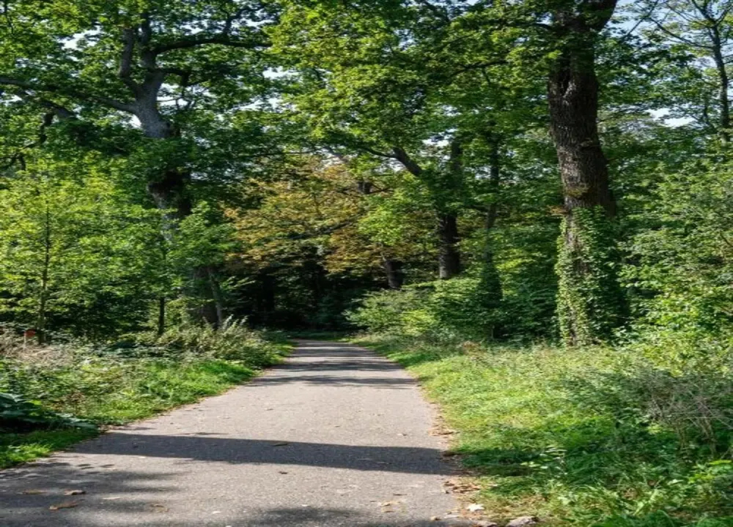 Playful and Luxurious Apartment in Heart of Delft