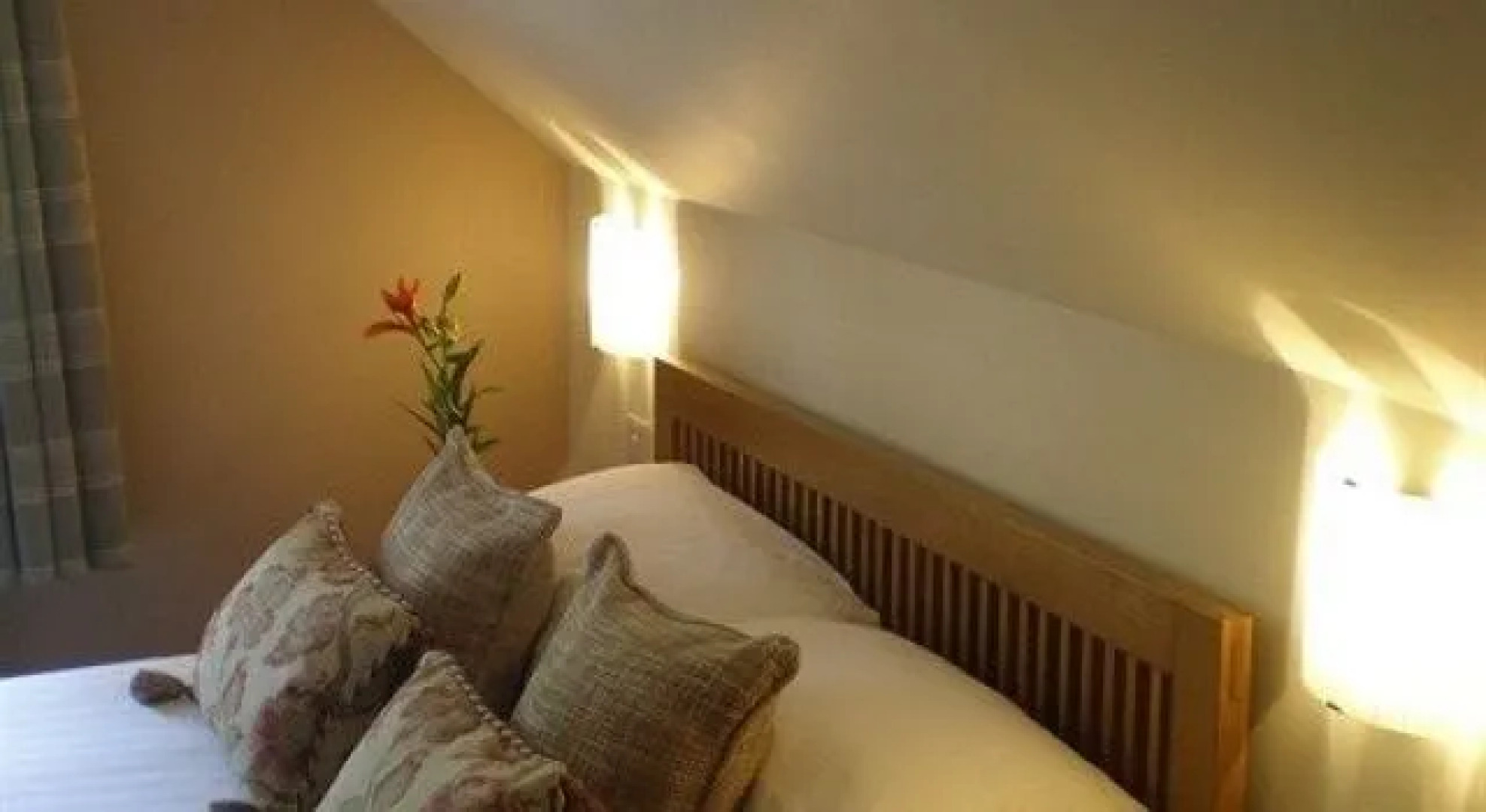 The Willow Guest House