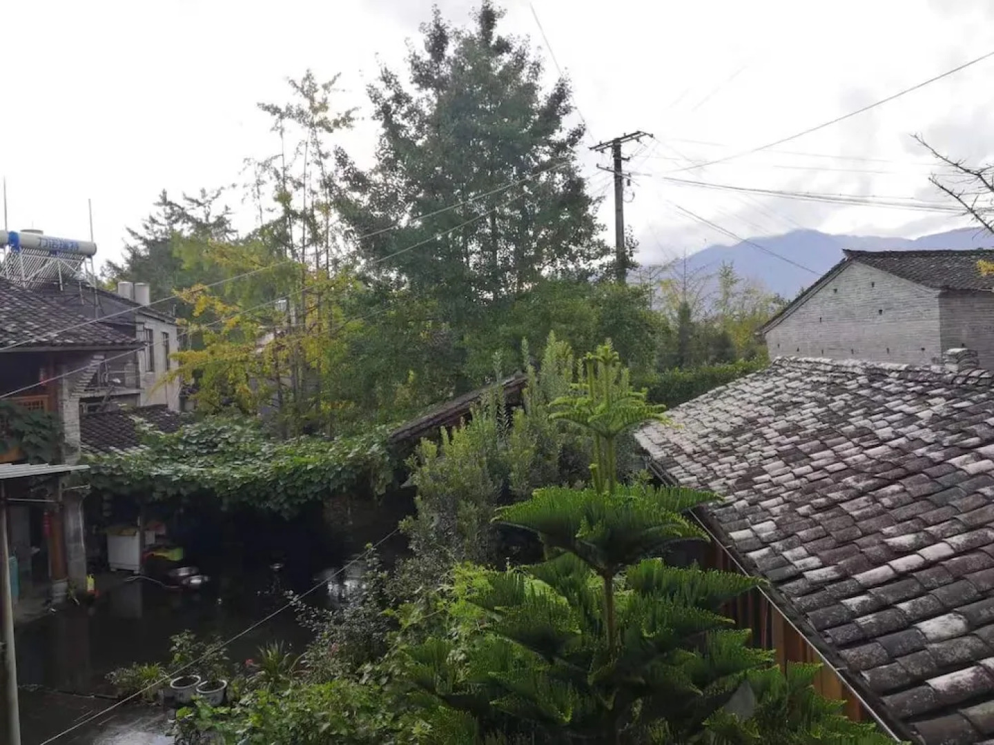 Tengchong Ginkgo Village Bencai Hotel